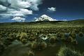 Sajama - Bolivia
